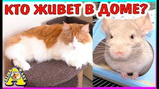 ВСЕ питомцы из нашего дома ЗООПОКУПКИ К НОВОСЕЛЬЮ  Alisa Easy Pets