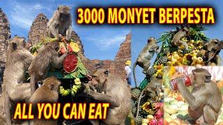 Festival Monyet Lopburi  All You Can Eat  Pesta Makan Para Monyet