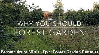 The Many Benefits of Creating a Forest Garden