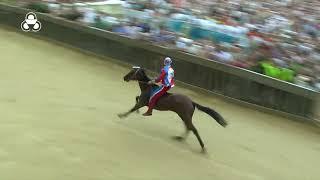 Palio di Siena 16 agosto 2023 LOca vince il Palio dellAssunta