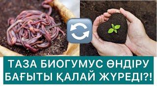 БИОГУМУС ӨНДІРУ БАҒЫТЫ ЖАЙЛЫ САБАҚ   87007929300