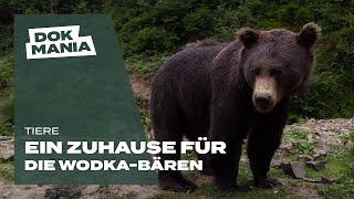 Ein Zuhause für die Wodka-Bären - Doku Film in voller Länge HD