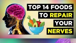 Top 14 BEST Foods For Your Nervous System Neuropathy