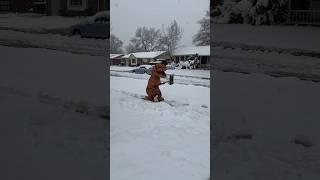 Dinosaur shovels during #Colorado #Snowstorm #short