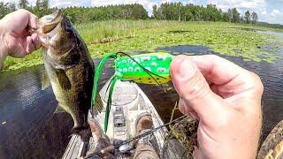 Lets Catch Some Frog Bass