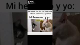 memes chistosos