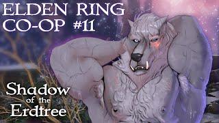 Lets Play Elden Ring Co-op Part 11 - Putrescent Knight & Frenzied Flame Midra Seamless Co-op Mod