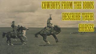 Cowboys from the 1800s Describe their Horses
