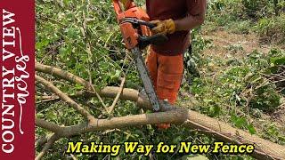 Cutting Trees out of the old Fence Row.  Its a Hot Day to work outside.