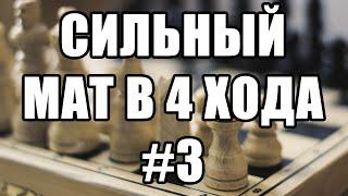 Мат в 4 хода. Шахматные задачи. Решение шахматных задач. Шахматная задача. Шахматы для начинающих.