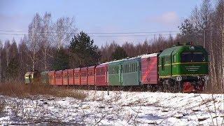 Узкоколейная железная дорога ТУ2-131 и ТУ2-076  Narrow gauge railway TU2-131 and TU2-076