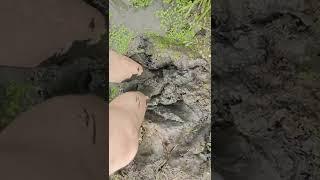 Muddy barefoot walk on field