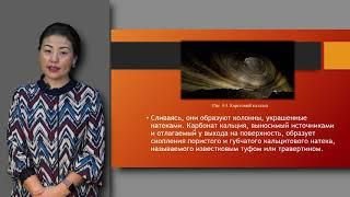 Амралинова Б. лекция №4 Геологическая деятельность подземных вод