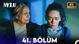 Avlu 41. Bölüm 4K