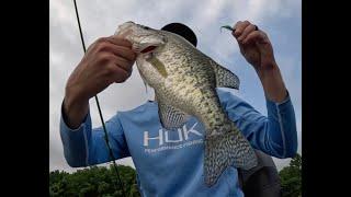 July Crappie Fishing #acccrappiestix