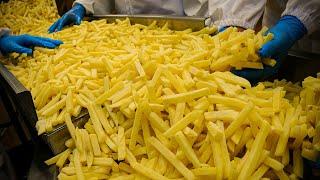 Premium French Fries Production Plant in Korea  Korean Street Food