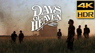 Days of Heaven 1978 • Locust Swarm • 4K HDR