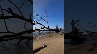 Drift Wood ● Step 2 • Waiting for Waves ● GREAT LAKES