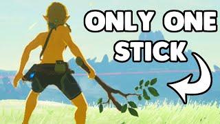 I Beat Breath of the Wild with a Single Stick