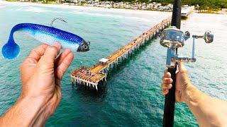 48 Hrs Chasing TROPHY Fish Off Public Piers Florida Snook Fishing