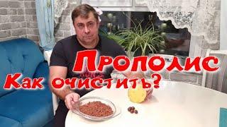 Прополис. Как очистить прополис от воска и примесей.