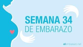 Semana 34 de embarazo  34 semanas de embarazo  El embarazo semana a semana