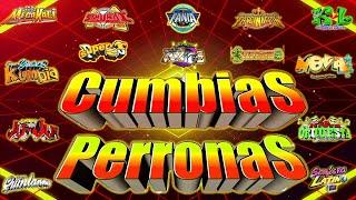 LAS MEJORES CUMBIAS SONIDERAS PARA BAILAR 2024 MIX CUMBIAS PERRONASMIX GRUPO QUINTANNATEPOZ Y MÁS