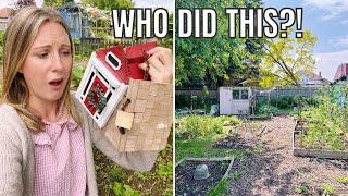 WHO DID THIS?  ALLOTMENT GARDENING FOR BEGINNERS