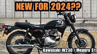 KAWASAKI W230 - An upcoming NEW NEO CLASSIC that nobody is talking about - Research & Speculations