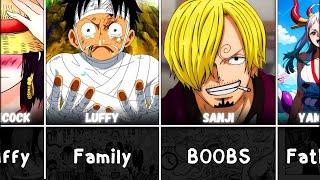 Weakness of One Piece Characters