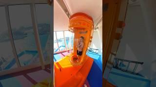 World’s TALLEST TRAP DOOR SLIDE at sea ️ #waterslide #waterpark #drop #tallest #adrenaline