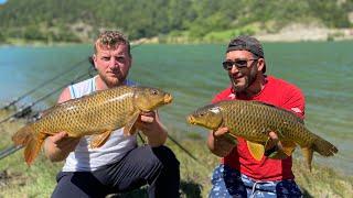 Sazan Avı İçin Rig Nasıl Bağlanır ? #carp #fishing #sazan