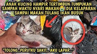 Anak Kucing Terlantar Hampir Tertimbun Tumpukan Sampah Saat Nyari Makan Terpaksa Makan Tulang Busuk