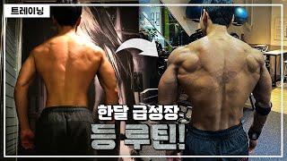 이번엔 등 운동 헬린이 등 운동 4가지 & 꿀팁 대방출 with. 김리니 선수