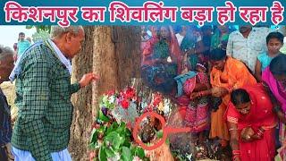 किशनपुर का शिवलिंग बड़ा हो रहा है kishanpur ka shivling bada ho raha hai