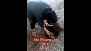 Lady slaughter a goat at home  Woman butcher a goat for meal #Ladybutcher