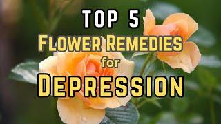 TOP 5 FLOWER REMEDIES for DEPRESSION.