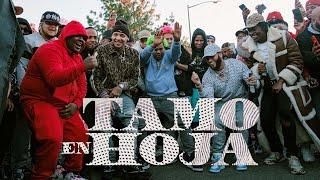 El Alfa El Jefe x Dowba Montana x MarkB - Tamo En Hoja Video Oficial