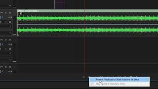 Adobe Audition 2018 Return Playhead to Start position on Stop