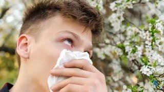 How To Minimize Allergies And Asthma - HealthFeed Network