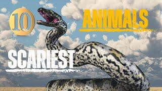 Top 10 Scariest Animals On The Earth #top10 #facts