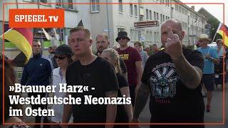 Neonazis im Harz Von Dortmund in den Osten  SPIEGEL TV