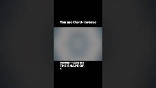 You Are Your U-Inverse