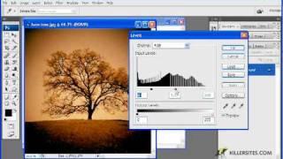 Photoshop CS3 Basics - Custom Shape Image