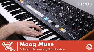 Quick Hits Moog Muse Synthesizer