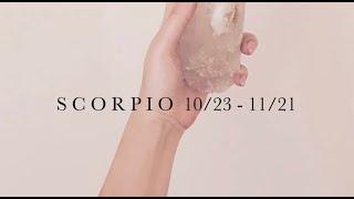 Scorpio August 2024  Psychic  Tarot Reading - relationships require action take some time