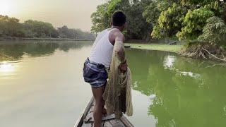 Net Fishing। Big Fish Hunting By Cast Net। Fishing with a cast net