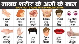 Body parts name with pronunciation  Learn Parts Of Body Name  Parts of Body Name in English