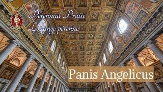 Panis Angelicus  Cesar Franck  Perennial Praise