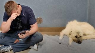 Sitting with a Scared Dog thats Lived Her ENTIRE Life at the Shelter 500+ Days 